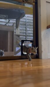 取り付け後の使用イメージ